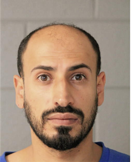JOSEPH N SALEH, Cook County, Illinois