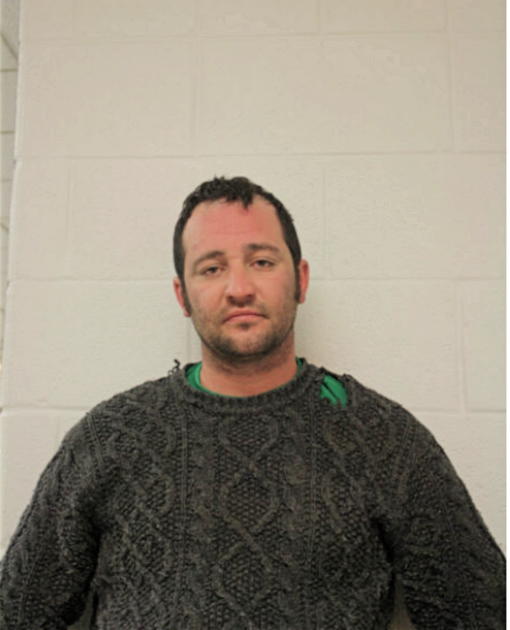 BRIAN W WALSH, Cook County, Illinois