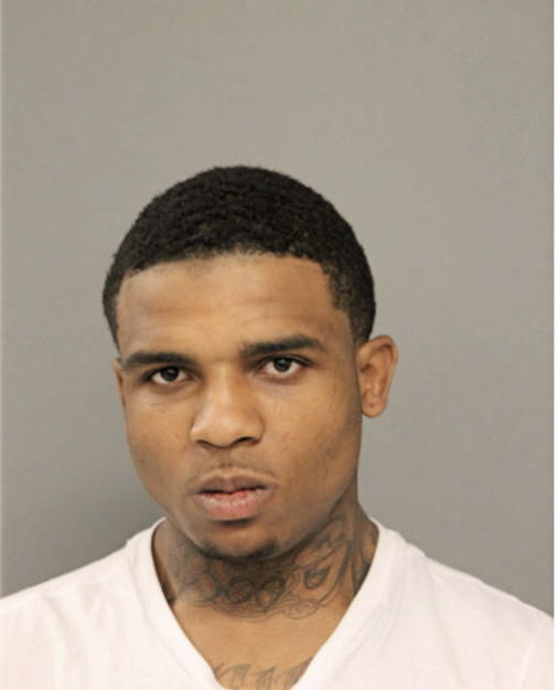 JAMARI L WILLIAMS, Cook County, Illinois