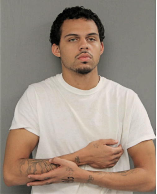 KYLE R WILLIAMSON, Cook County, Illinois