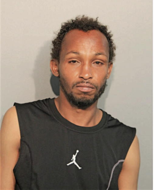 SAID ABDI, Cook County, Illinois