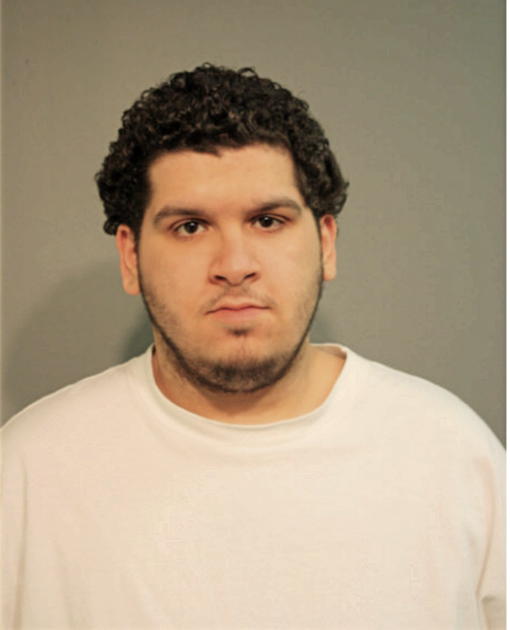 DAVID N ANDUJAR, Cook County, Illinois