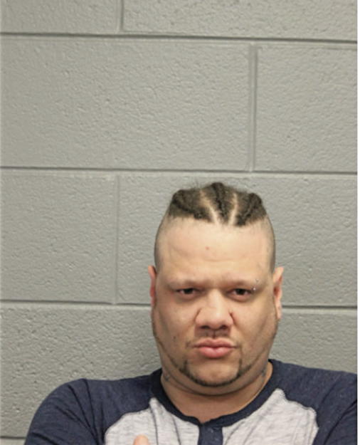 JULIO BOU, Cook County, Illinois