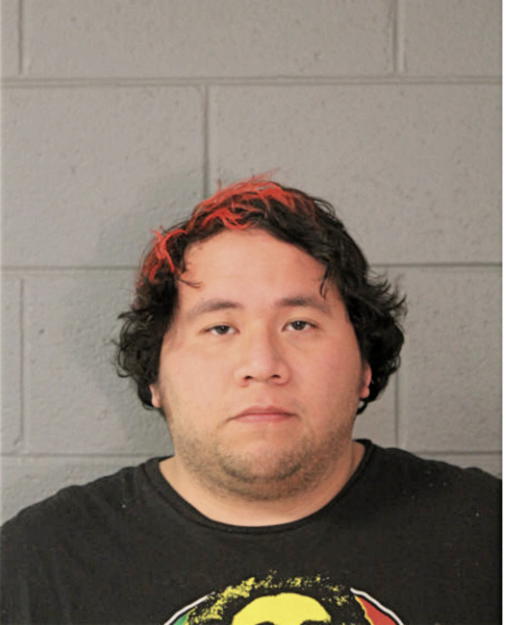 RENEE V CASTILLO, Cook County, Illinois
