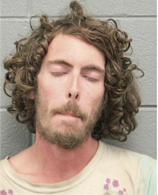 ZACHARY B COLE, Cook County, Illinois