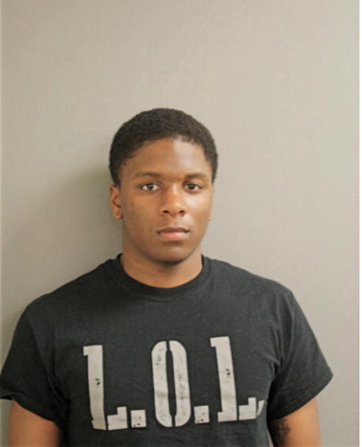 BRANDON S DAVIS, Cook County, Illinois