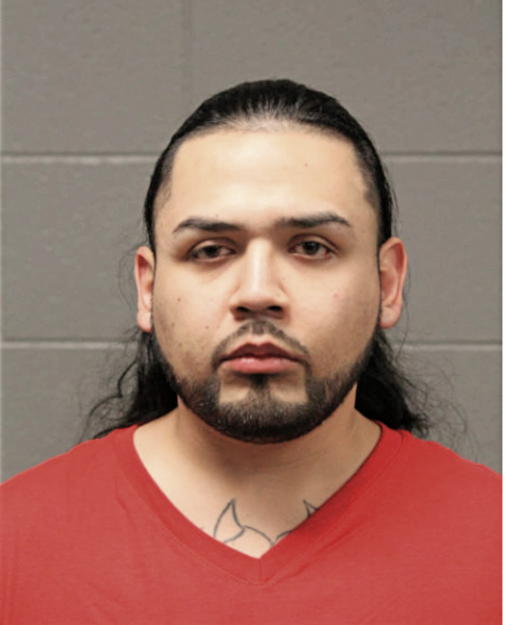 DANIEL C DIAZ, Cook County, Illinois