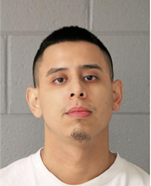CHRISTIAN G GANDARILLA, Cook County, Illinois