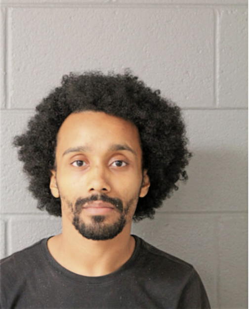 WALTER J GANDY, Cook County, Illinois