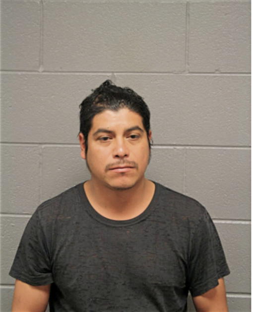 RICARDO GARCIA, Cook County, Illinois
