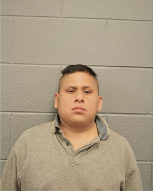 FAVIO GOMEZ, Cook County, Illinois