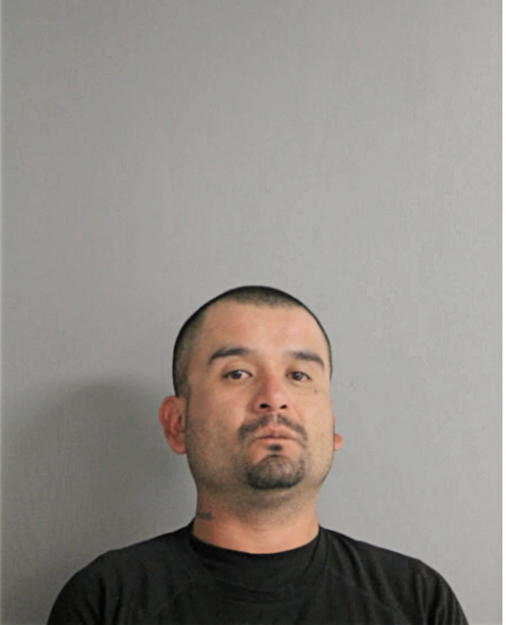 FERNANDO GONZALEZ, Cook County, Illinois
