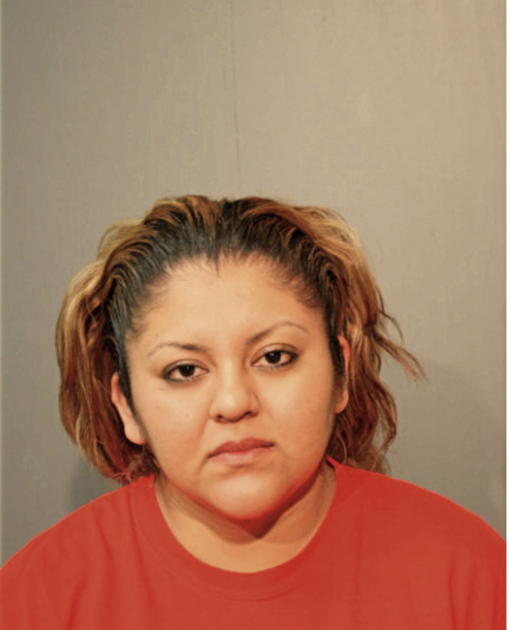 MONICA HERNANDEZ, Cook County, Illinois