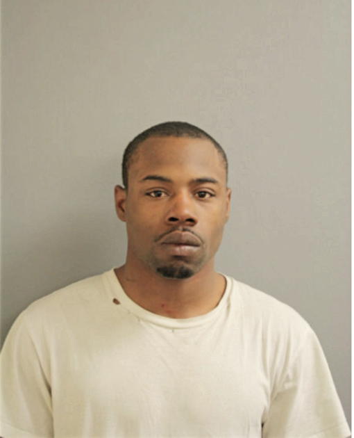 MICHAEL J JOHNSON, Cook County, Illinois