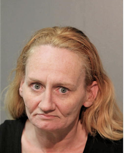 KAREN S JAMESON, Cook County, Illinois