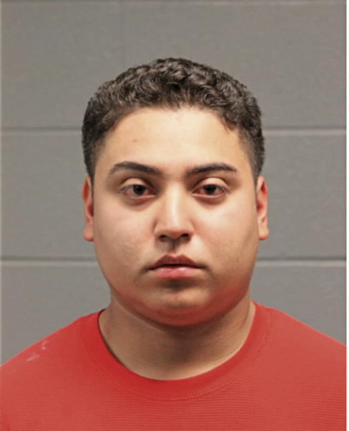 LUIS C JIMENEZ-CASTRO, Cook County, Illinois