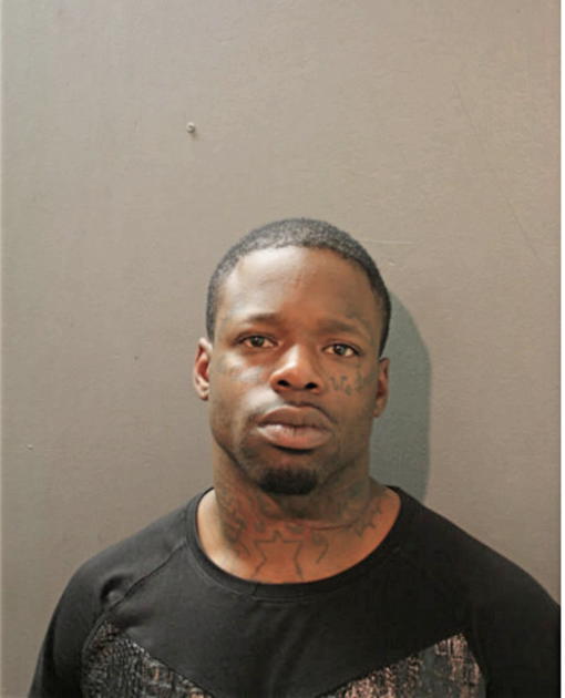 DANNY D MCGHEE, Cook County, Illinois
