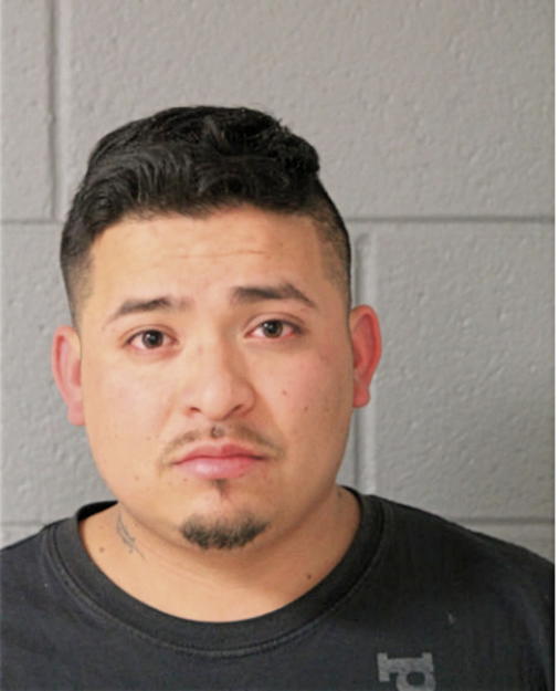 IRVIN V REYES, Cook County, Illinois
