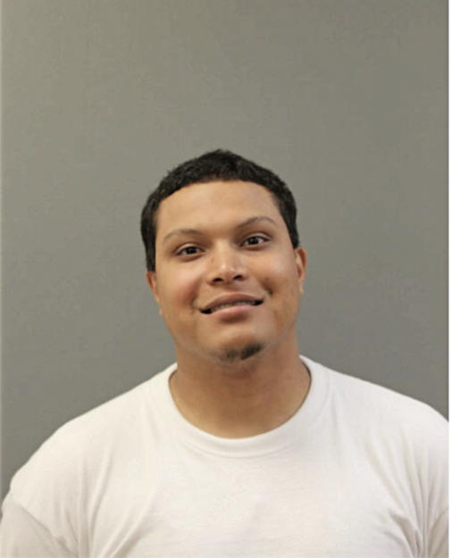 DANIEL RIVERA, Cook County, Illinois
