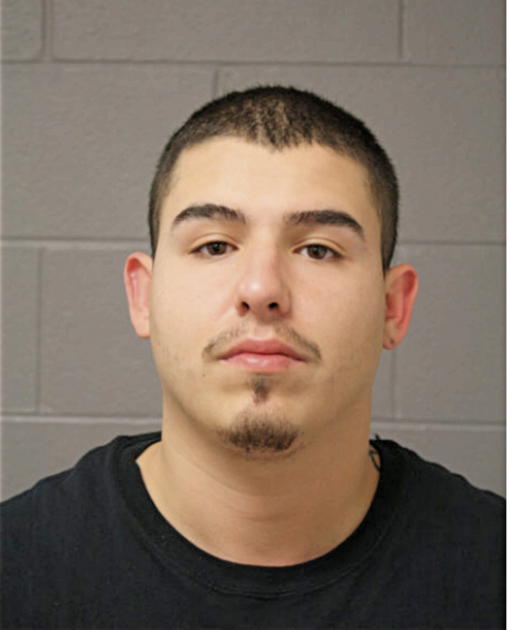 ENRIQUE J RODRIGUEZ, Cook County, Illinois