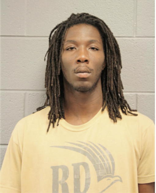 MARTIN L SATERFIELD, Cook County, Illinois