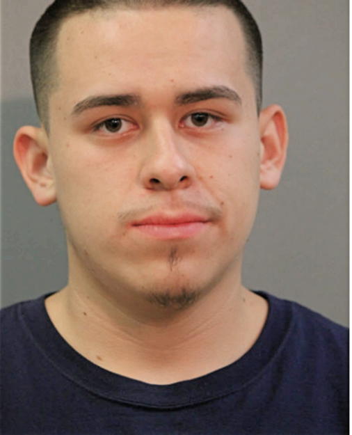 ALEXANDER SOTELO, Cook County, Illinois