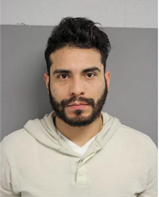HECTOR TRUJILLO-DELGADO, Cook County, Illinois