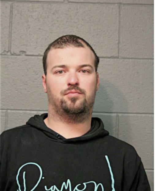MARK J WEBBER-BRAY, Cook County, Illinois