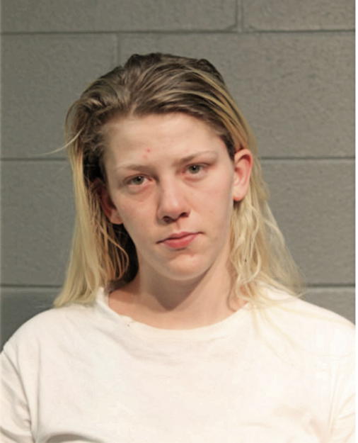 CAITLIN E WOOD, Cook County, Illinois