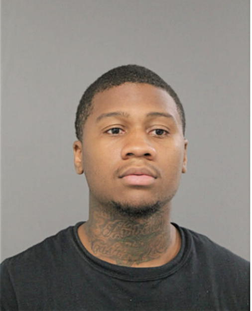 RAYMONT D WYATT, Cook County, Illinois