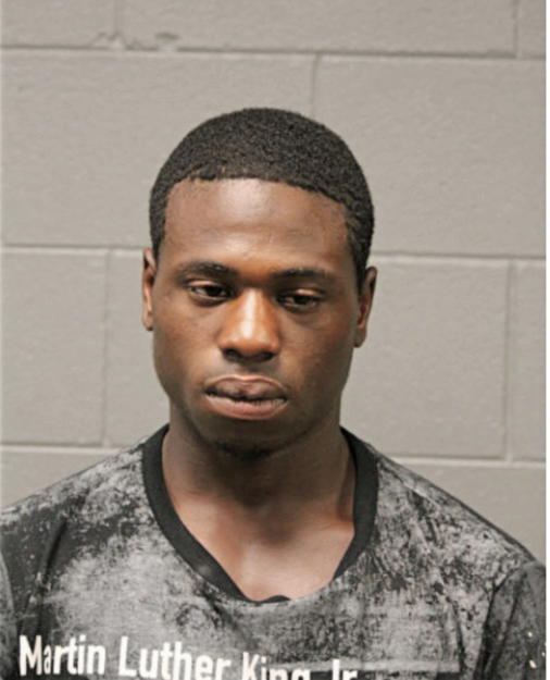 DAVID T YOUNG JR, Cook County, Illinois