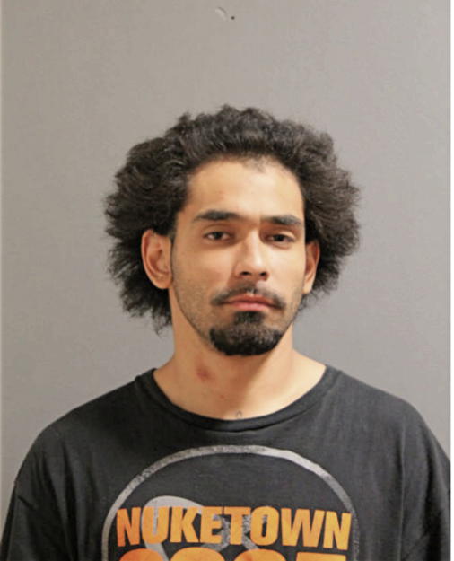 JULIAN ALVAREZ, Cook County, Illinois