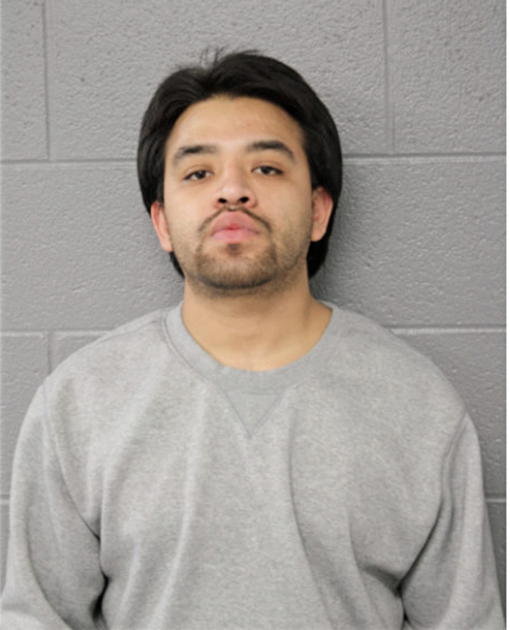 OMAR AMBRIZ, Cook County, Illinois
