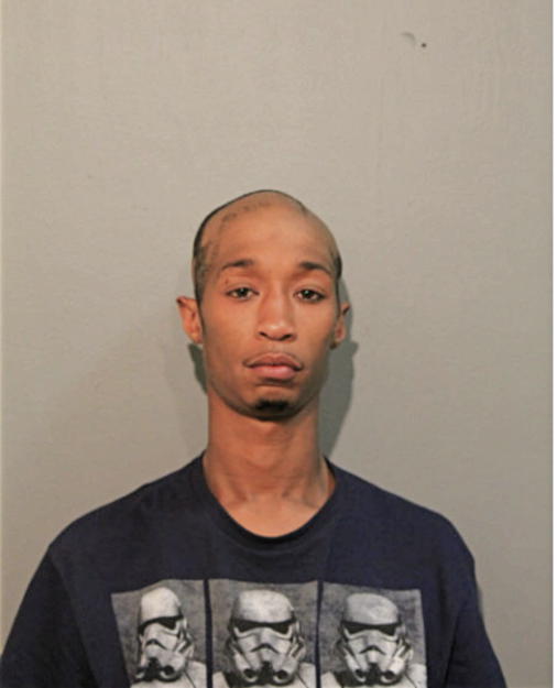 MICHAEL D ANDERSON, Cook County, Illinois