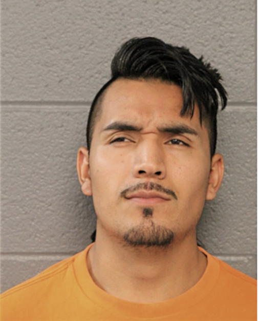 EDUARDO L ARRIAG, Cook County, Illinois