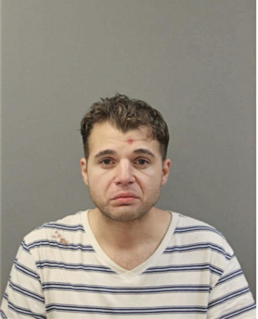 SEAN RYAN BALLOG, Cook County, Illinois