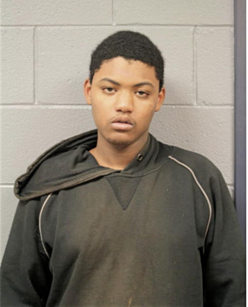 MALIK A BREWER, Cook County, Illinois