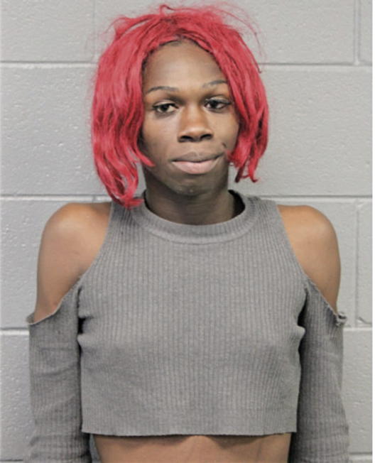HAKEEM T COLEMAN, Cook County, Illinois