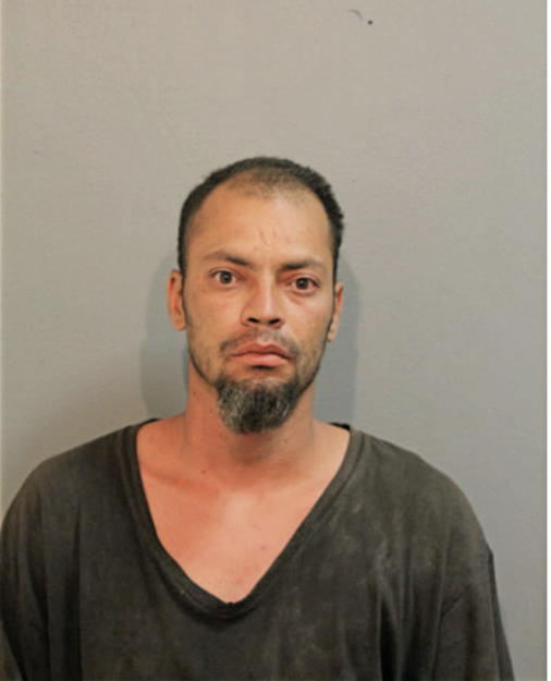 LUIS E FIGUEROA, Cook County, Illinois