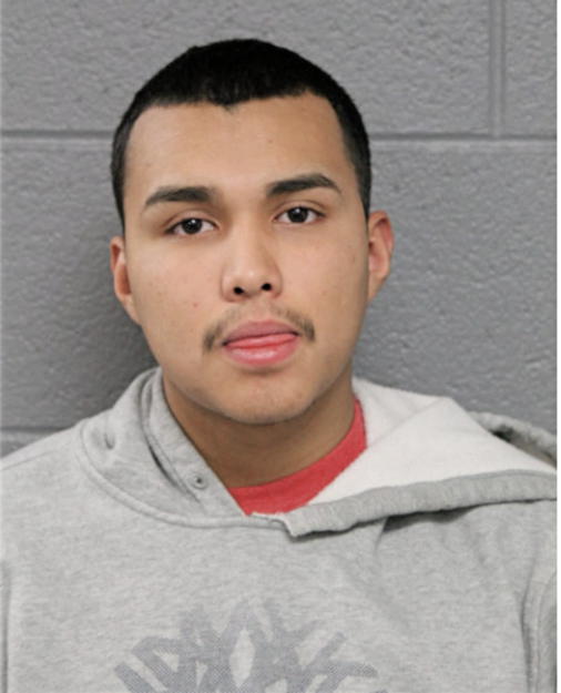ESTIBEN N GARCIA, Cook County, Illinois