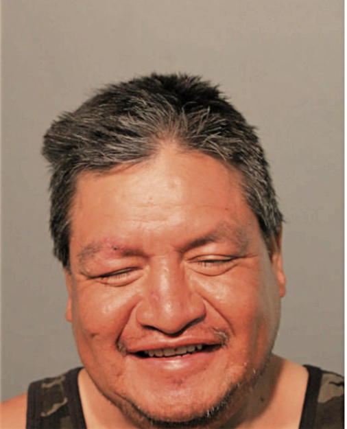 FLAVIO GUACHICHULLCA, Cook County, Illinois