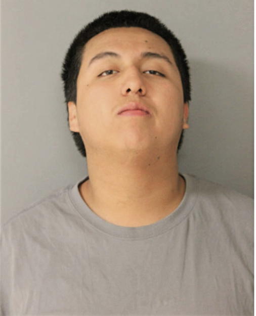 XAVIER GUZMAN, Cook County, Illinois