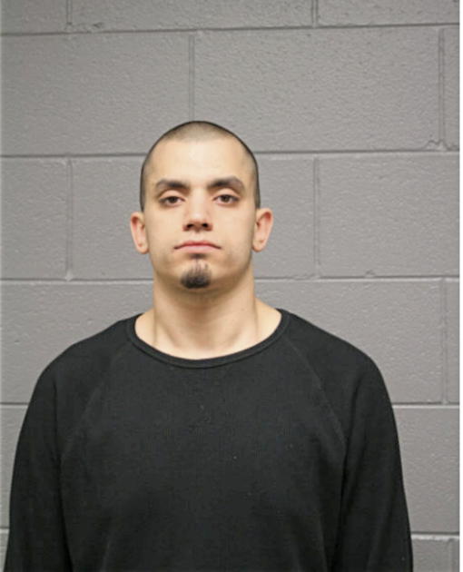 ROBERT R HAHN-SILVA, Cook County, Illinois