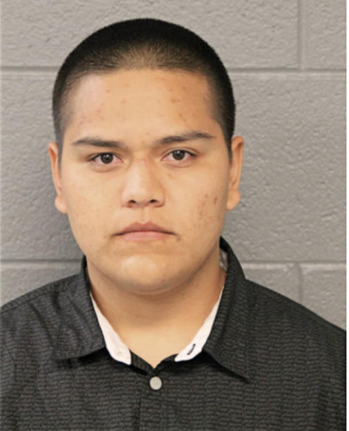 FELIPE D HERNANDEZ, Cook County, Illinois