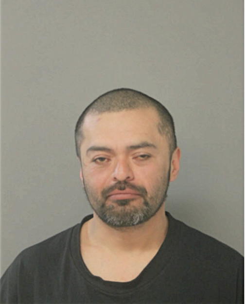 JOSE L HERNANDEZ, Cook County, Illinois