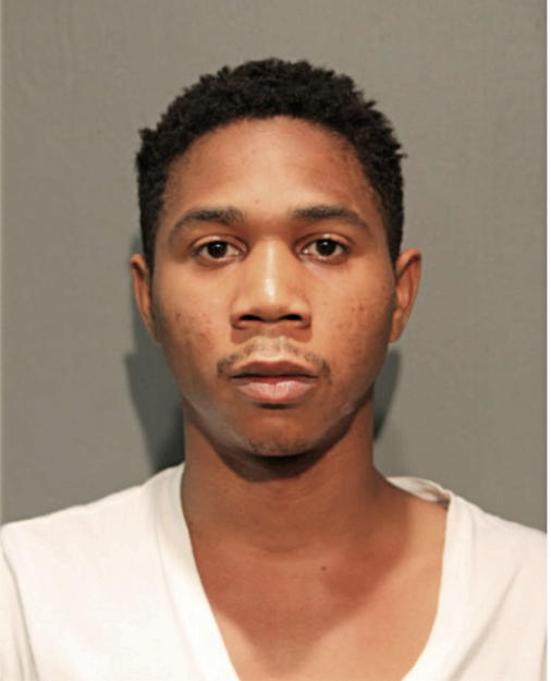 CRAIG C HOPKINS, Cook County, Illinois