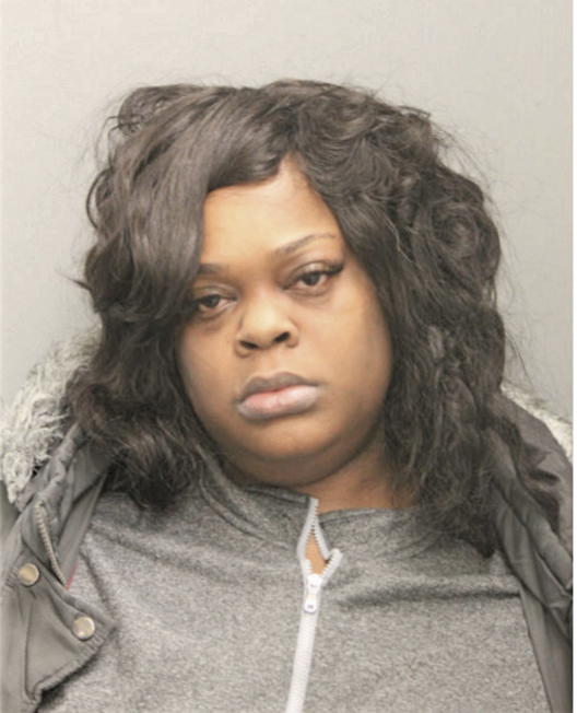 DONISHA N HOWARD, Cook County, Illinois