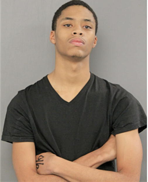 JERMAINE M JERNAGIN, Cook County, Illinois