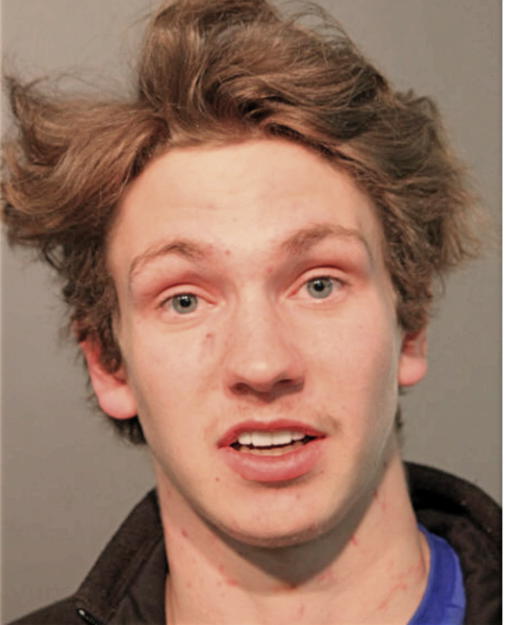 MACKENZIE P KOZIARZ, Cook County, Illinois