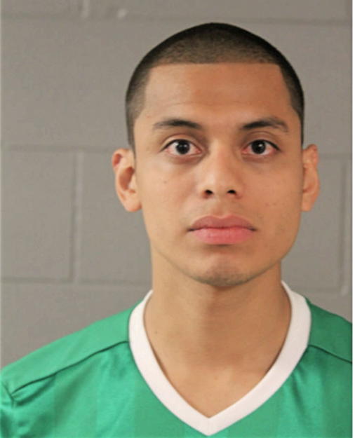 ADOLFO JONATHAN MALDONADO, Cook County, Illinois